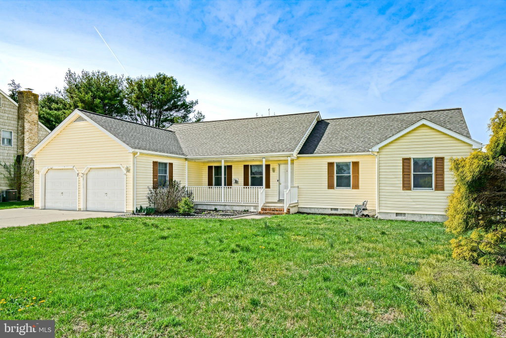 Media Image 1