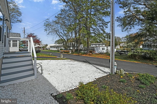 Media Image 3