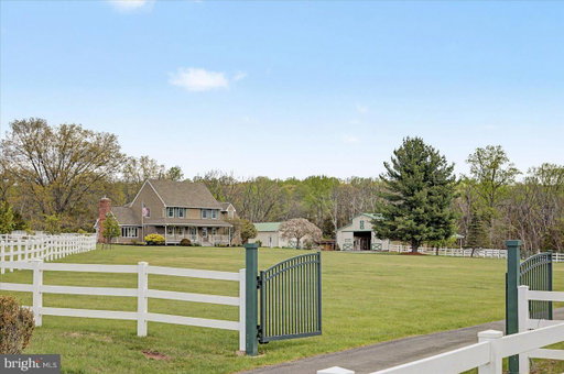 Media Image 3