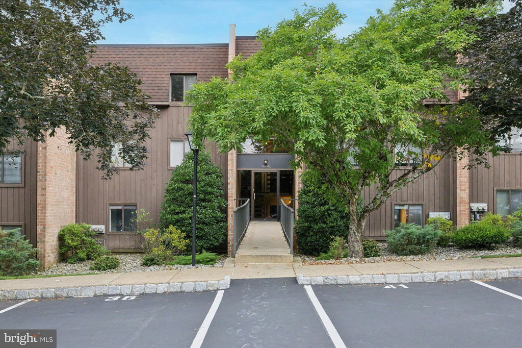 Media Image 1