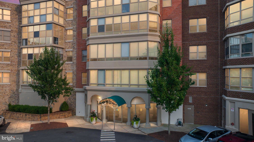Media Image 1