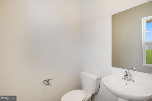 Media Image 3