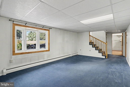 Media Image 3