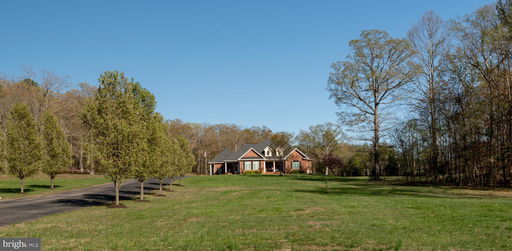 Media Image 3