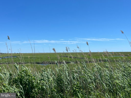 Media Image 3