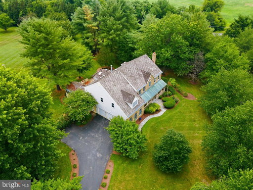 Media Image 3