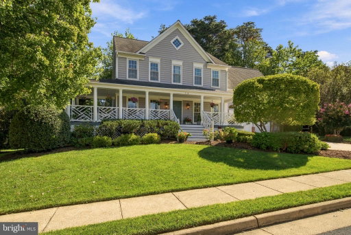 Media Image 3