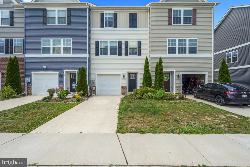 Media Image 1