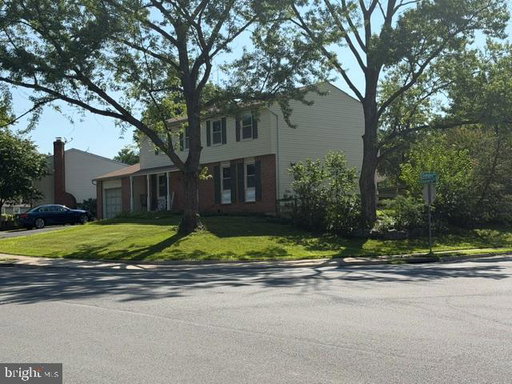 Media Image 2