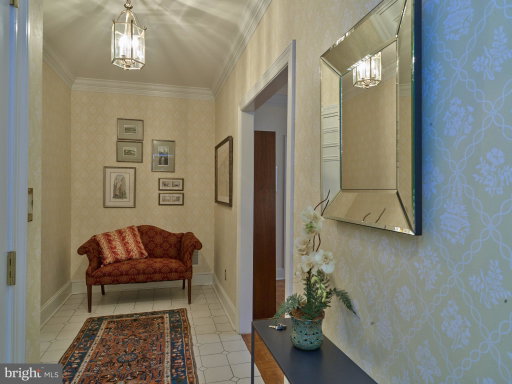 Media Image 2