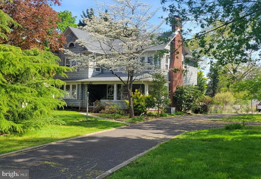 Media Image 2