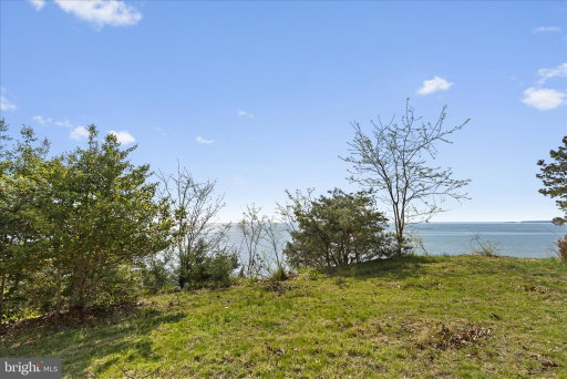 Media Image 3