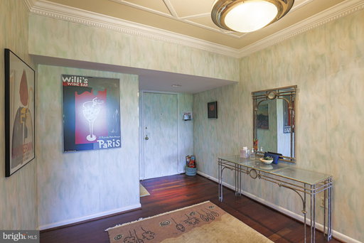 Media Image 3
