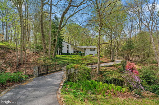 Media Image 2
