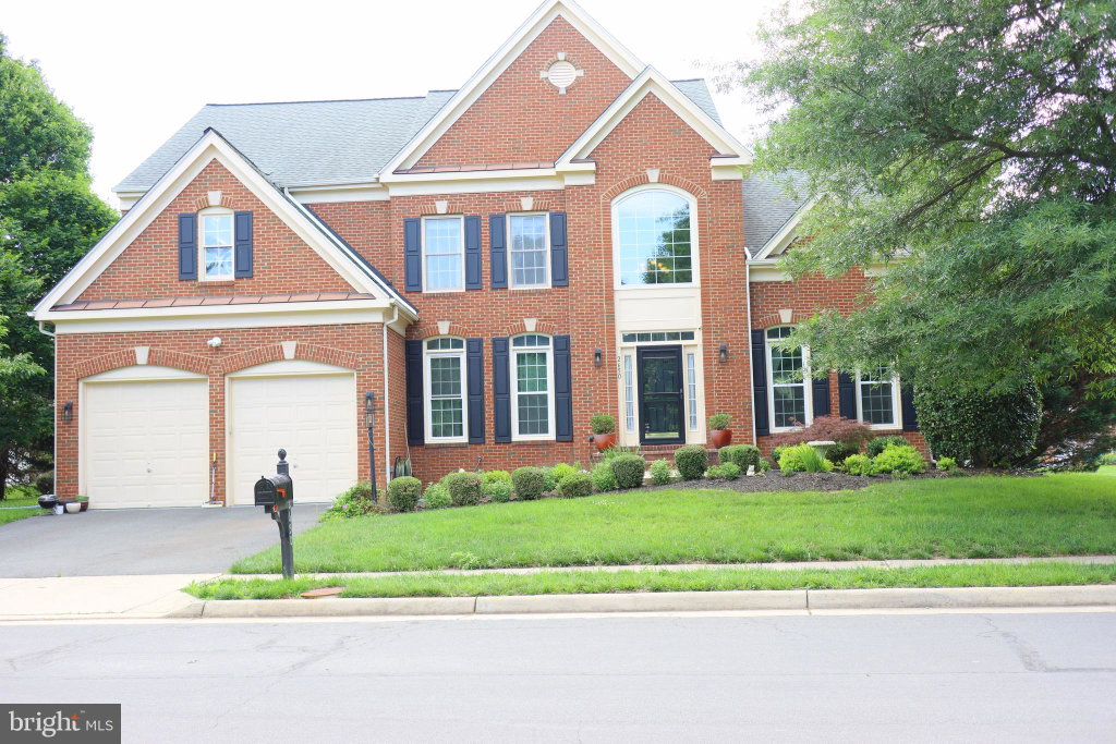 Media Image 1
