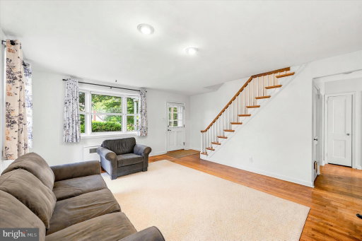 Media Image 3