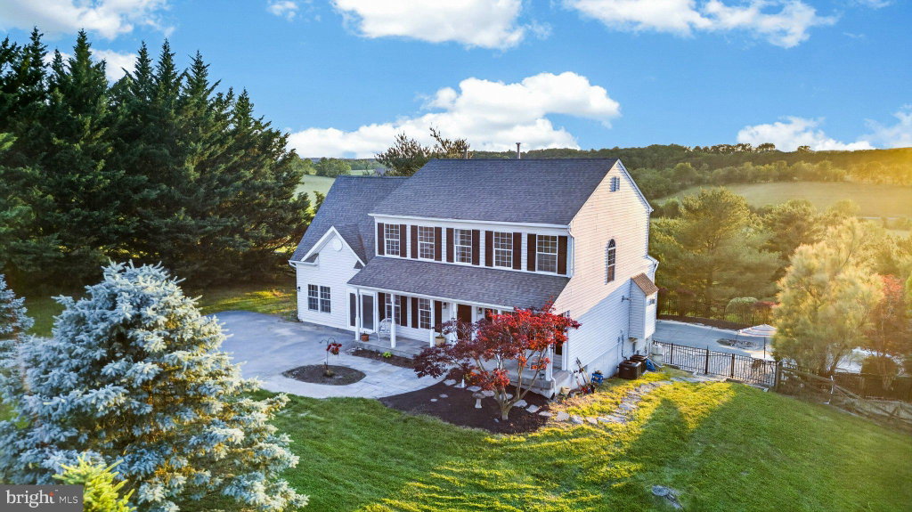 Media Image 1