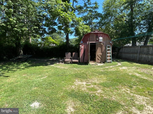 Media Image 3