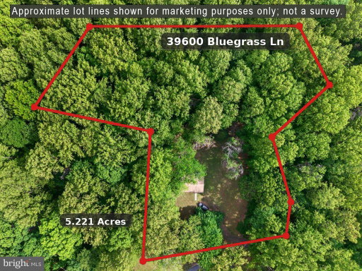 listing main photo