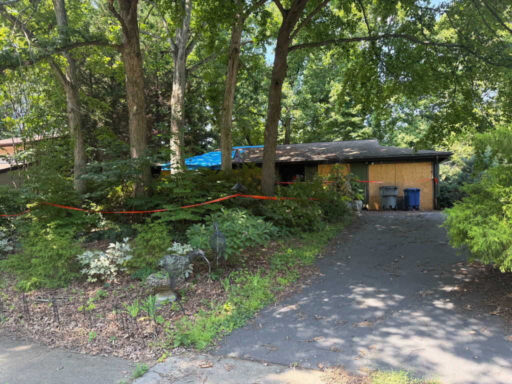 Media Image 1