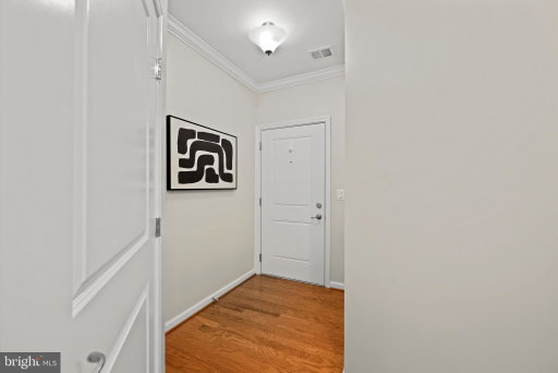 Media Image 3