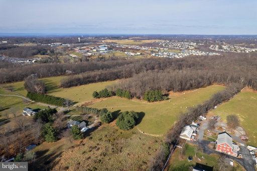 Media Image 2