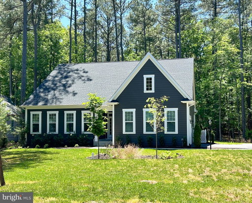 Media Image 2