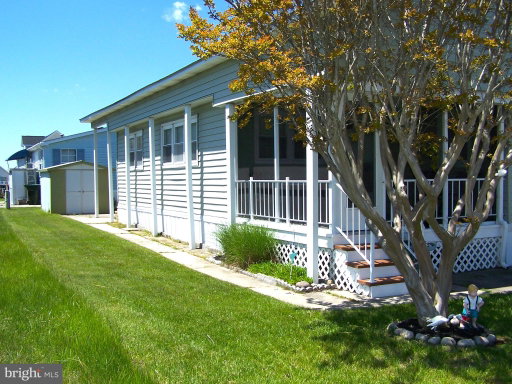 Media Image 3