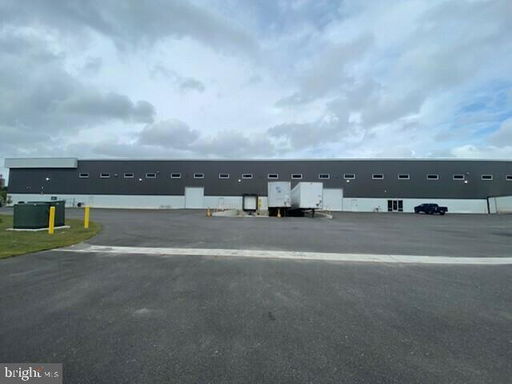 Media Image 2