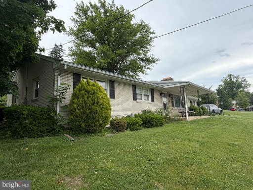 Media Image 3
