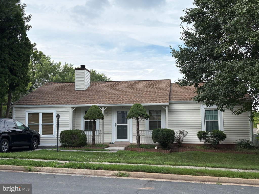 Media Image 1
