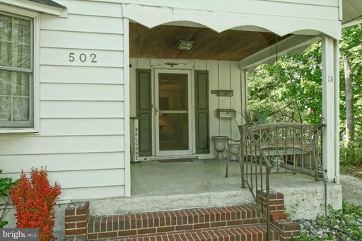 Media Image 3