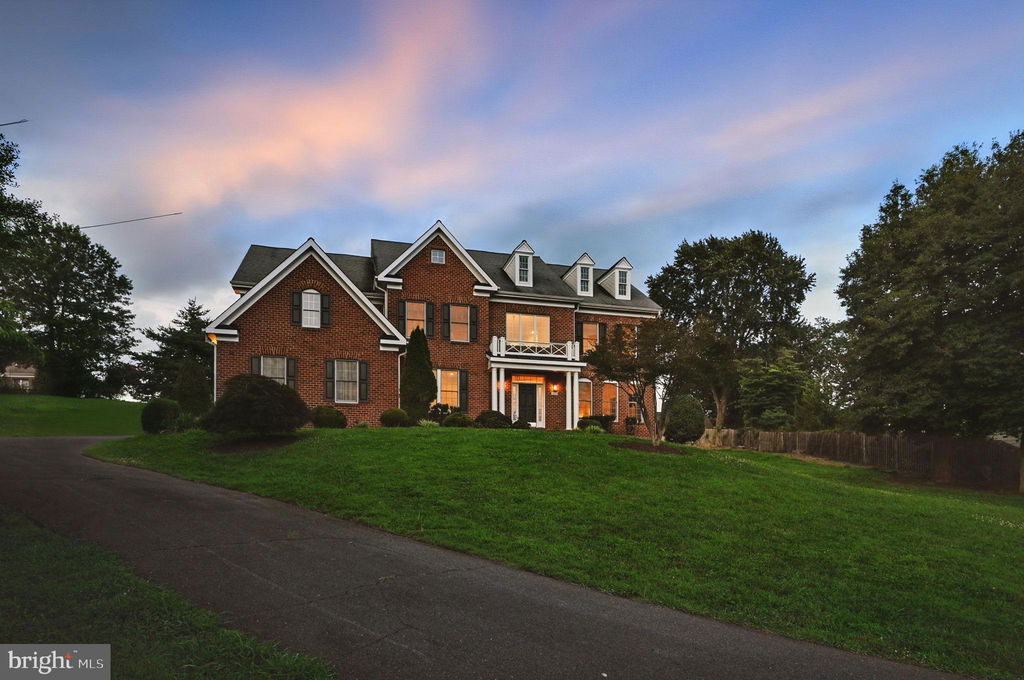 Media Image 1