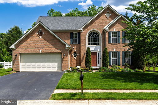 Media Image 2