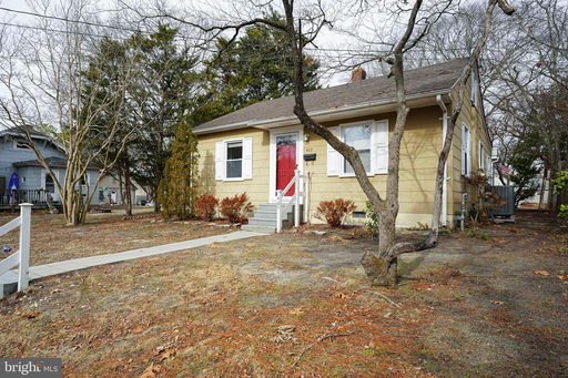 Media Image 3