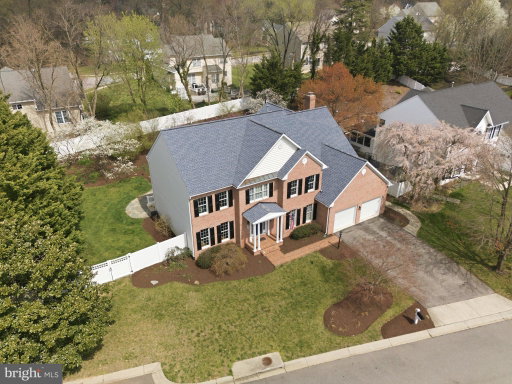 Media Image 2