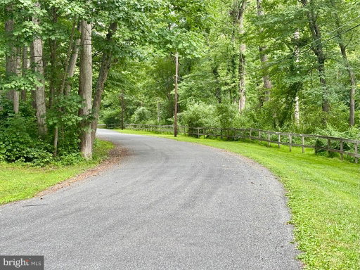 Media Image 3