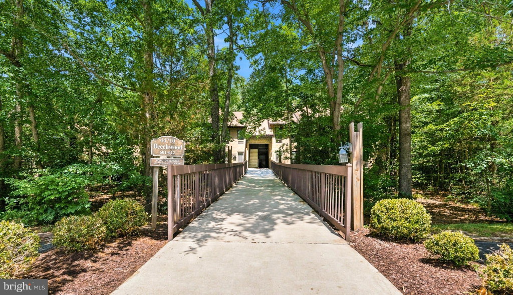 Media Image 1