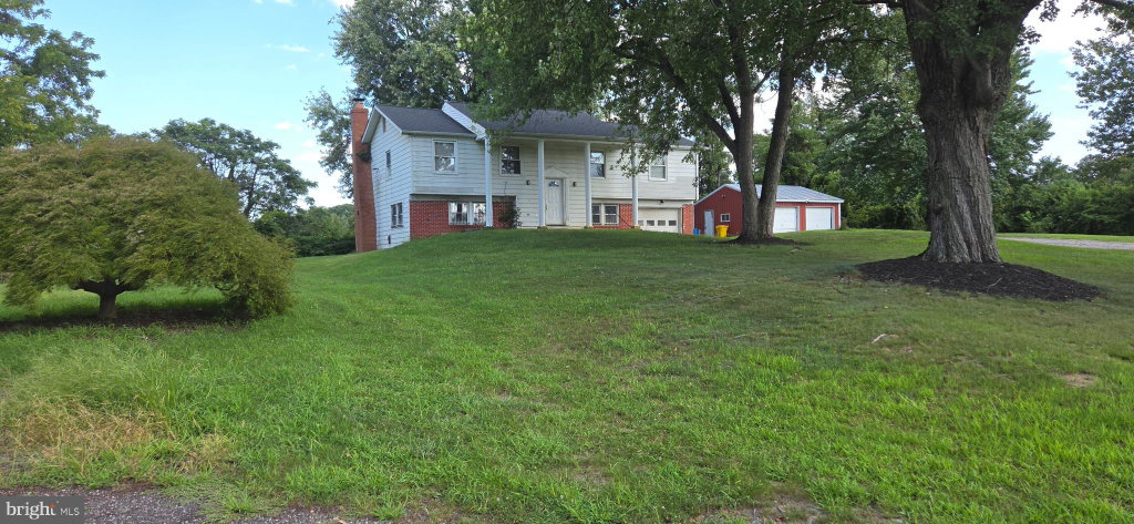 Media Image 1