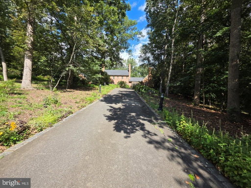 Media Image 3