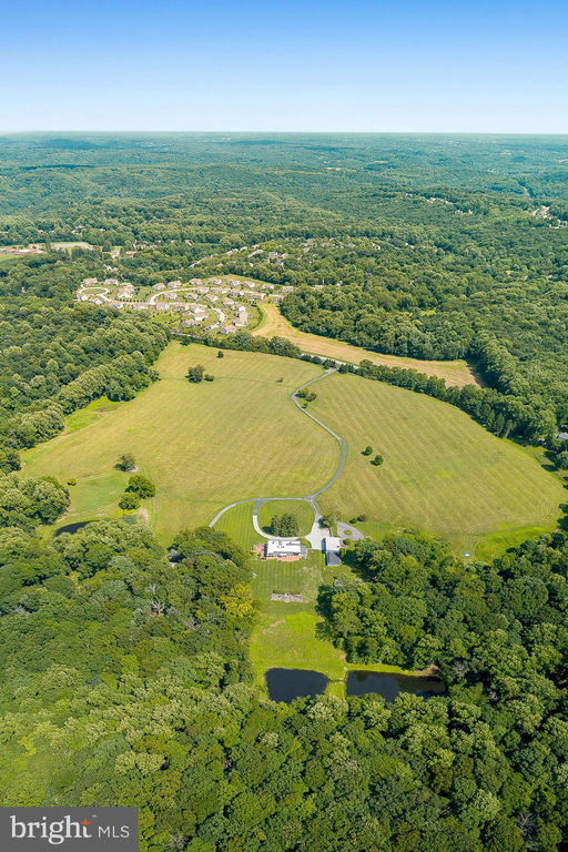 Media Image 3