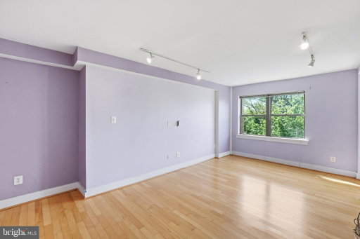 Media Image 3