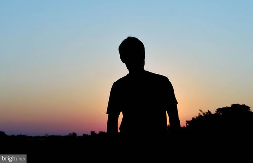 Media Image 3