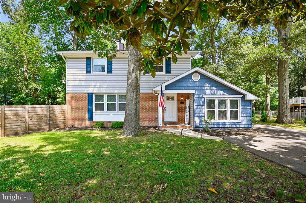 Media Image 1