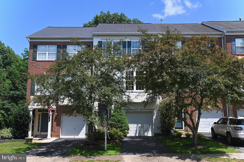 Media Image 1