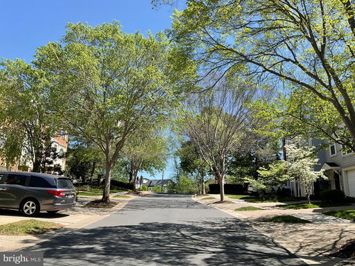 Media Image 2