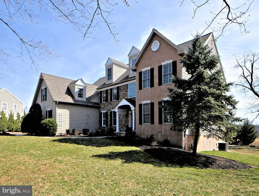 Media Image 3