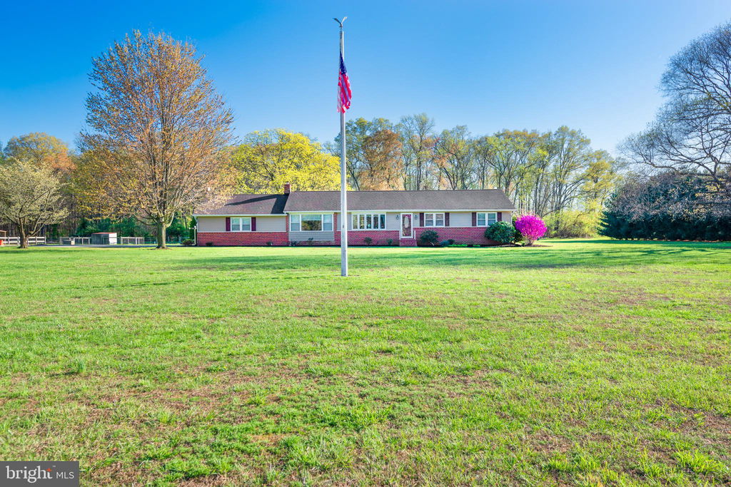 Media Image 1