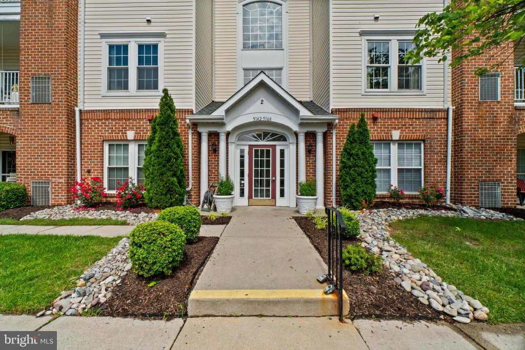 Media Image 1