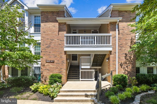 Media Image 2